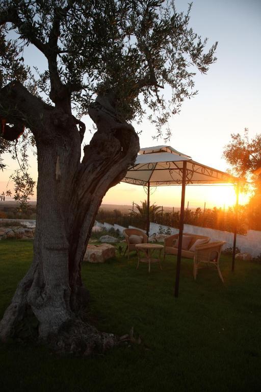 B&B Antico Carrubo โมโนโปลี ภายนอก รูปภาพ